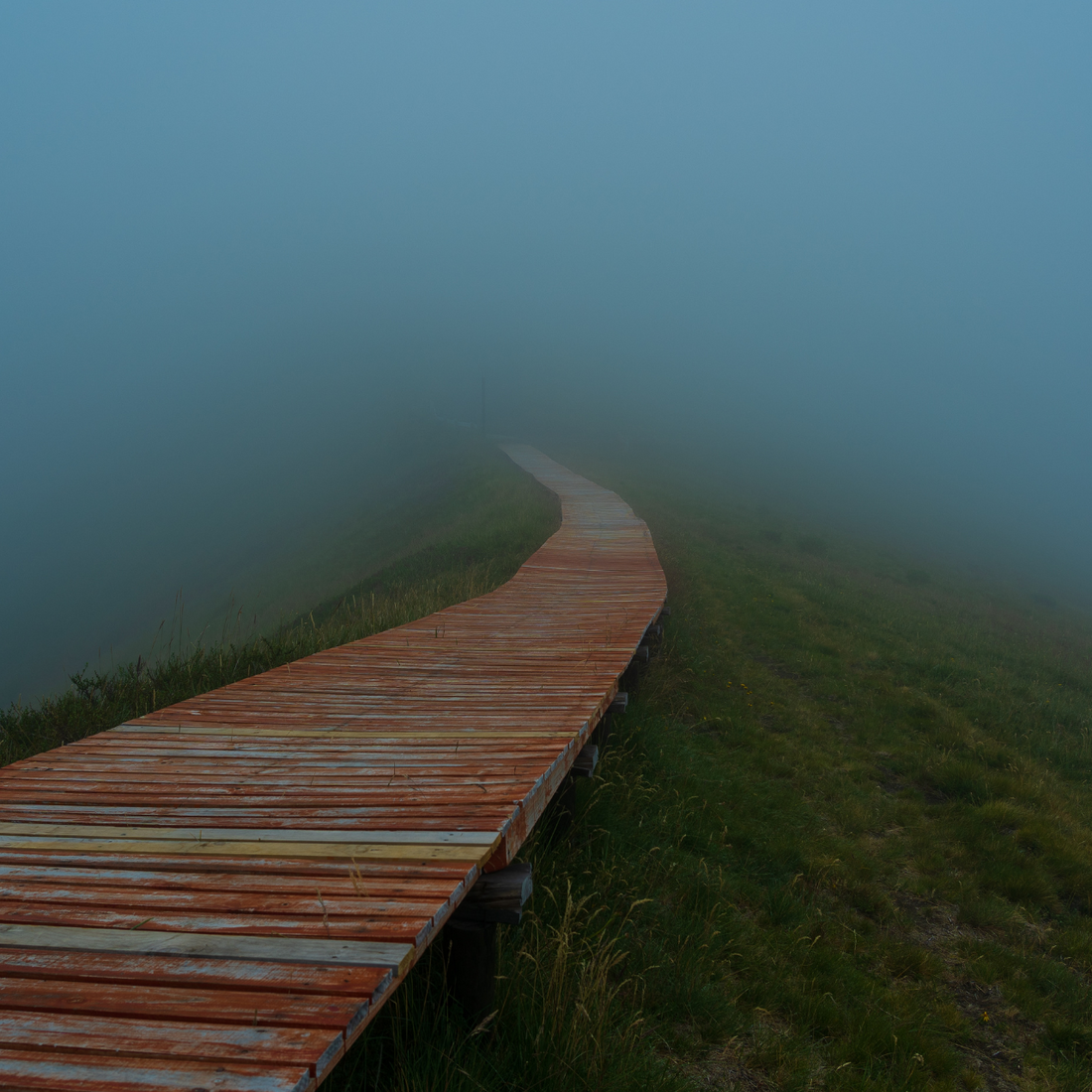 Reason and Tracing the Lines of Belief