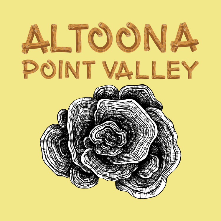 Altoona Point Valley